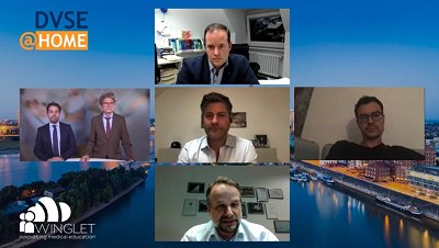 DVSE@Home – thumbnail 7 of 16
