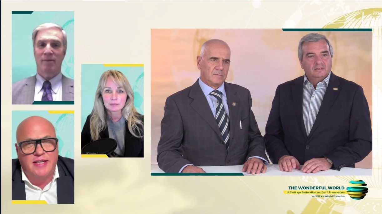 ICRS TV Series - #005: Biologic Knee Replacement: Basic Science of Aging of Cartilage – thumbnail 10 of 12
