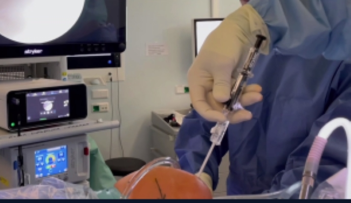 Winglet Originals #014: Basics in Knee Arthroscopy – thumbnail 13 of 19