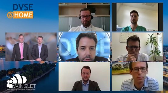 DVSE@Home – thumbnail 12 of 16