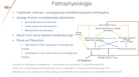 #223: Sprunggelenksarthrose - Therapiemöglichkeiten und Grenzbereiche – thumbnail 2 of 10