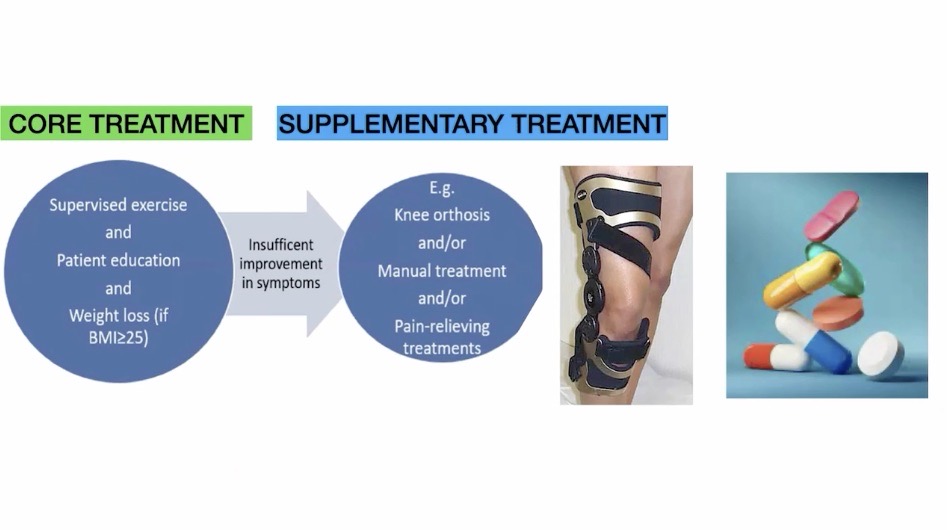 #911: Individualized Treatment of Osteoarthritis of the Knee – thumbnail 4 of 10