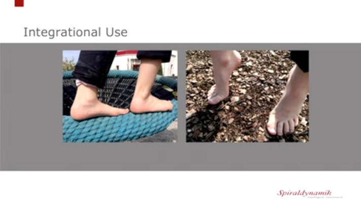 Winglet Originals #026: Flatfoot - From Youth to Elderly – thumbnail 3 of 12