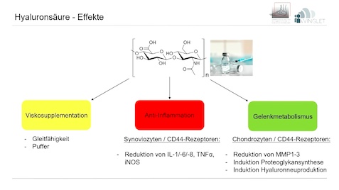 #223: Sprunggelenksarthrose - Therapiemöglichkeiten und Grenzbereiche – thumbnail 3 of 10