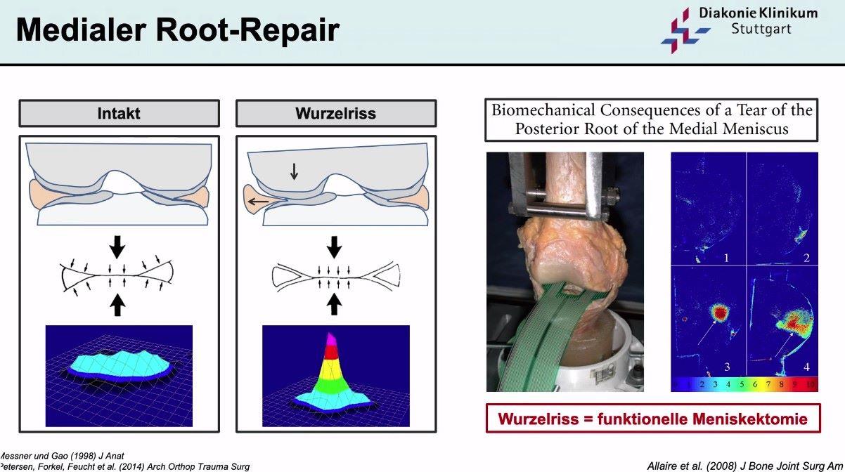 AGAnywhere Monthly - #027: Evidenzbasierte Behandlung von degenerativen Gelenkschäden – thumbnail 3 of 12