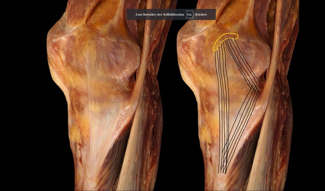 #249: Best of AGA 2019 – thumbnail 7 of 8