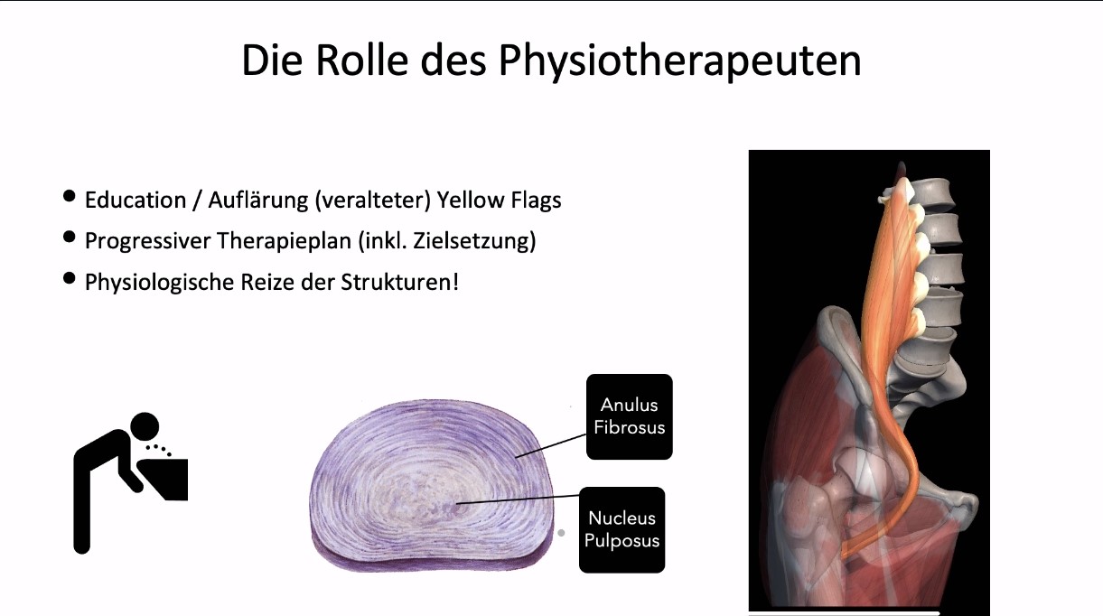 #2911: Der Kreuzschmerz in der Hausarzt- und Orthopädie-Praxis – thumbnail 8 of 11