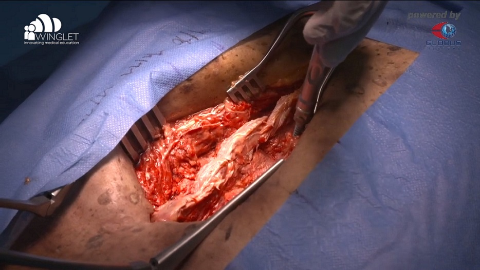 DKOU 2019 Wetlab - BioSkills Workshops & Live-Demonstrationen – thumbnail 9 of 10