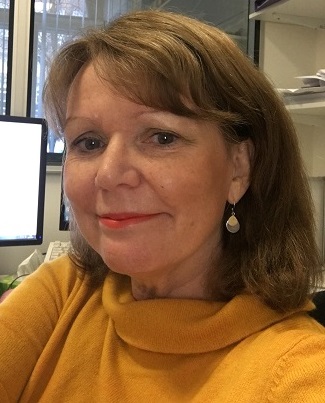 Professor<br>Ros Quinlivan, M.D.